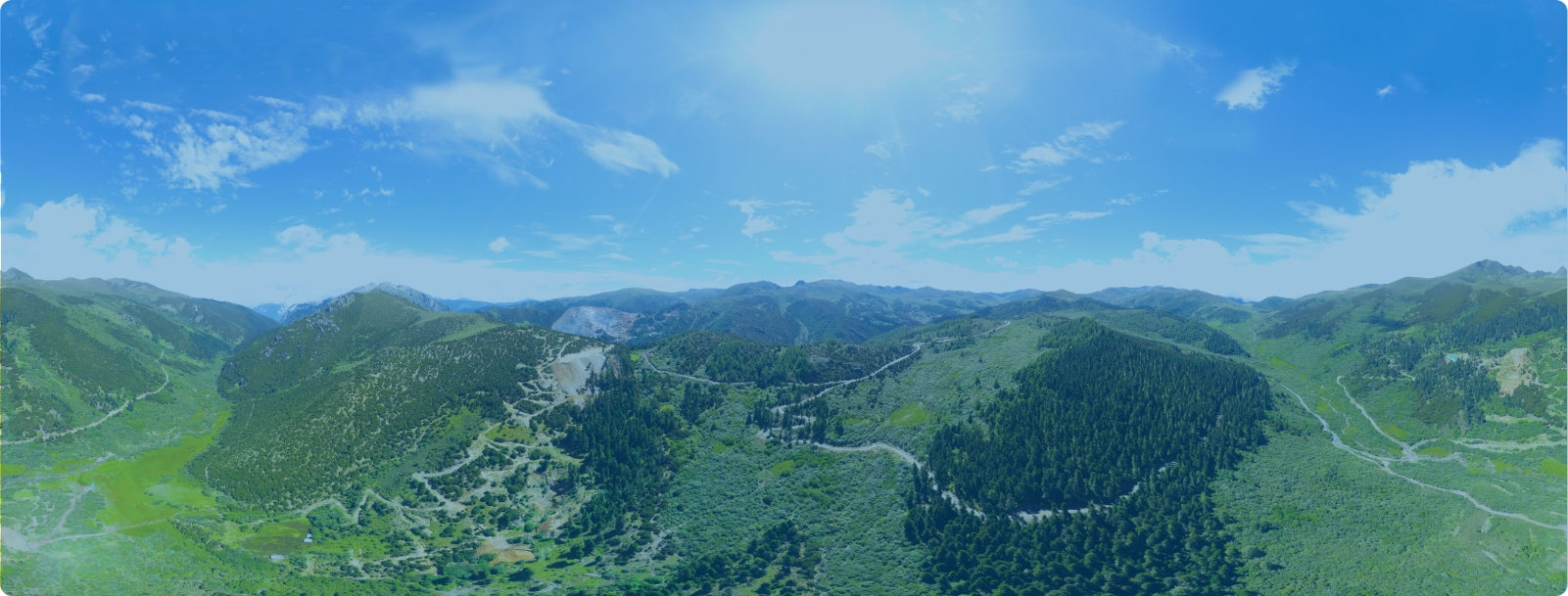 ��ҵ����