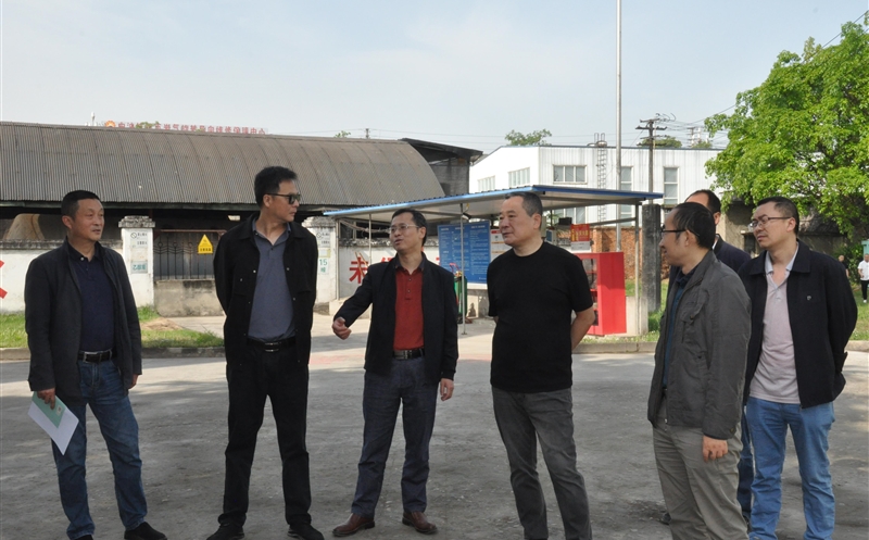 ̩������ҩ��չ����һ����ǰ�徲����������