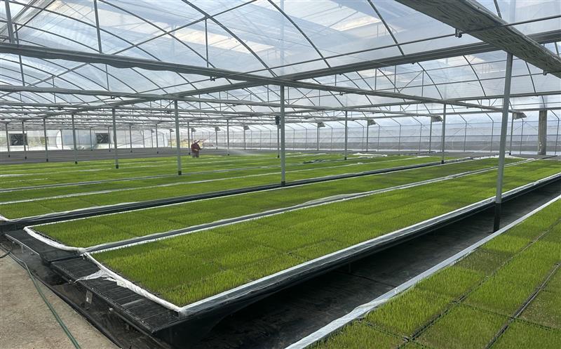 ����һ��  ��ץũʱ ������ʱ������ˮƽ�ġ��츮���֡�����