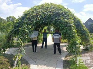 ���ҹ��ʡ�(�й���)���¹ٷ���վ