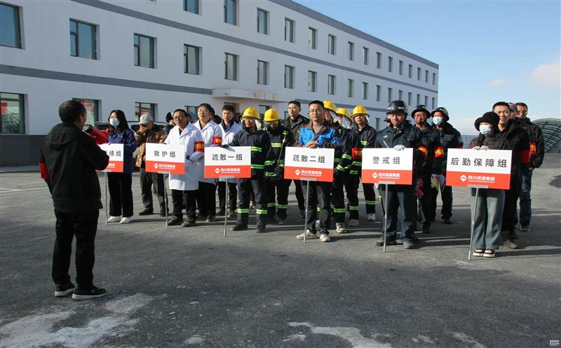 �ԡ�����������������������δ��ȼ���������ο�ҵ��֯��չ2024��Ӧ��������ɢ�����˶�