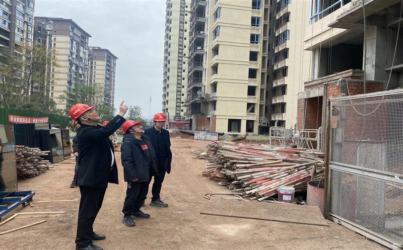 ��˾�򵼴��ӵ����ݷ�������Ŀ���ڽ���Ŀ�����ϼ���Ҫ�ۻᾫ�񲢿�չ �徲����������